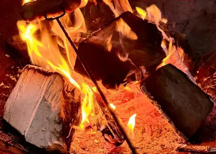 U Jedrusia I דירה *